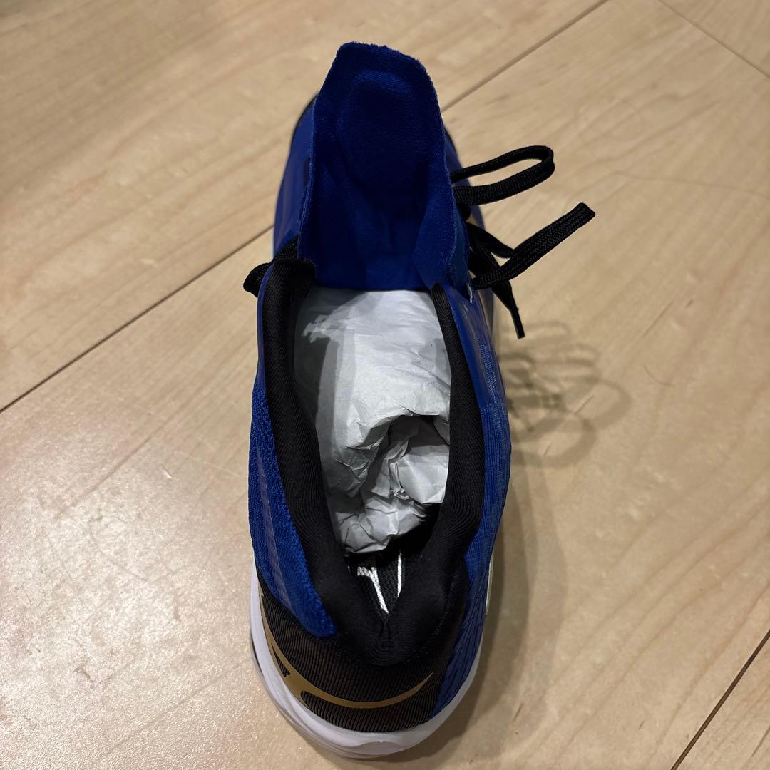 ミズノ バレーボールシューズ 29cm ハイカット