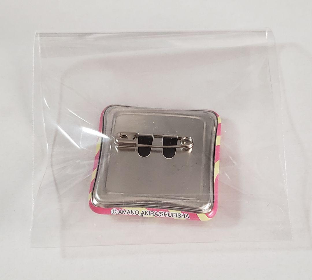 未使用品 ジャンプショップ 缶バッジくじ 2010【リボーン 2点セット】