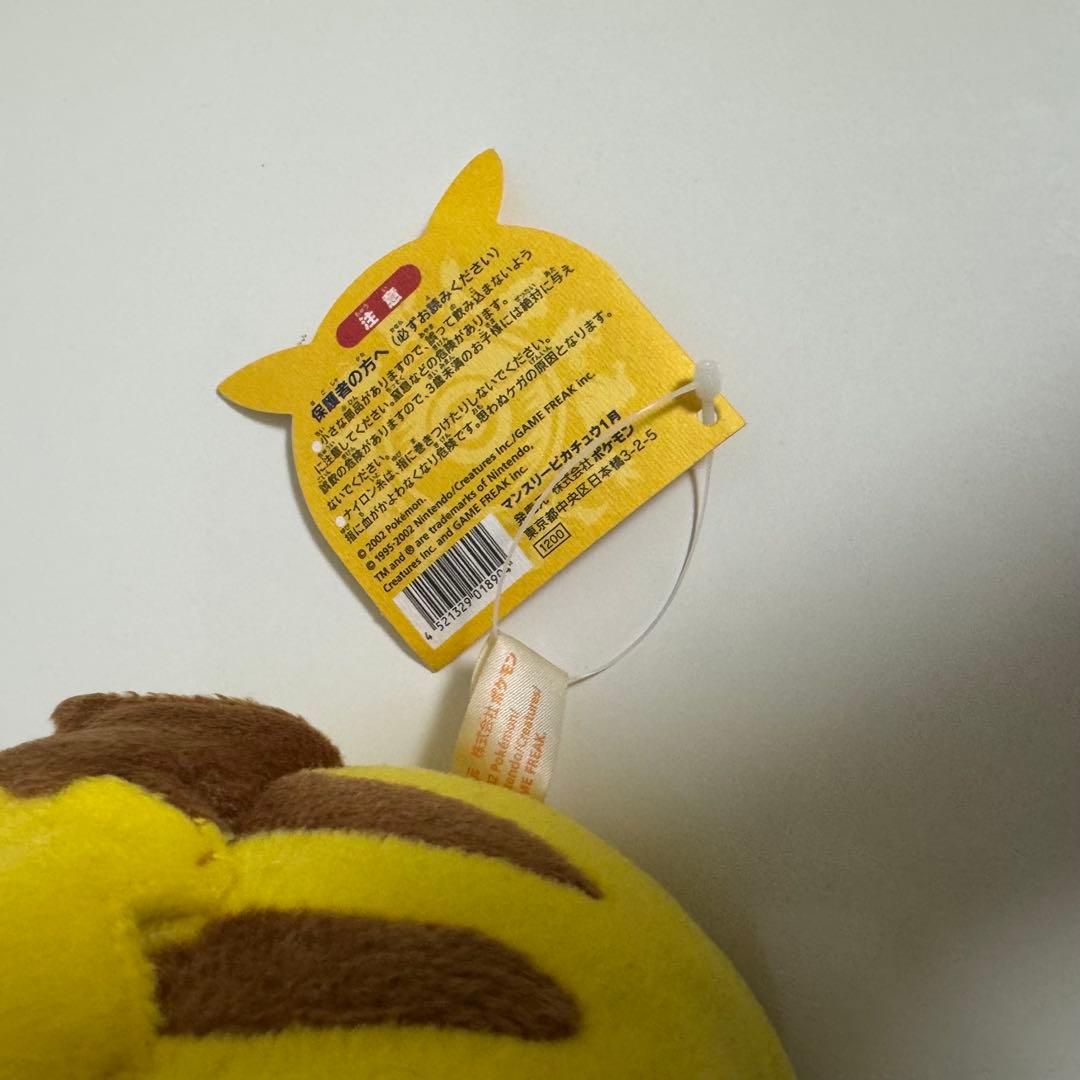 ポケモン　ポケットモンスター　マンスリーピカチュウ2003年1月