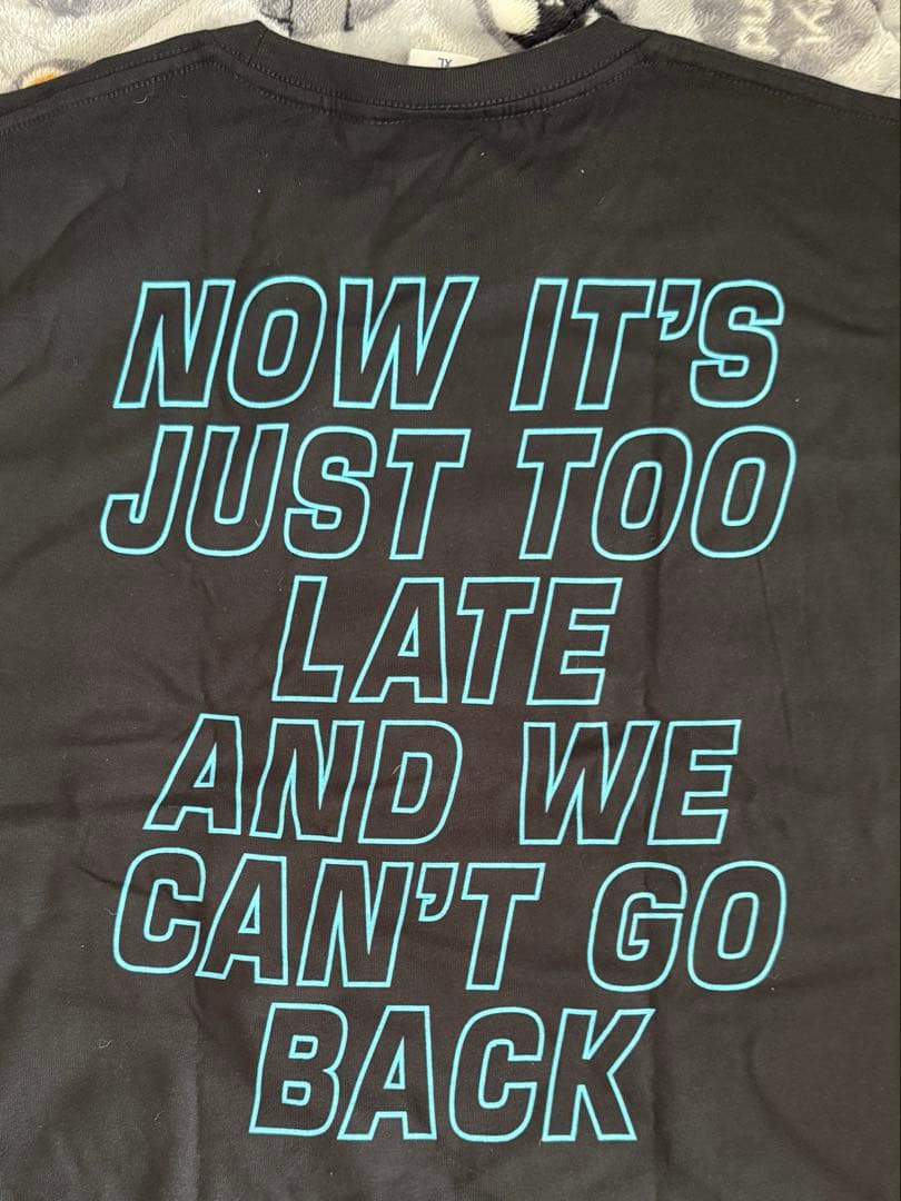 専用【XLサイズ】Simple Plan シンプル・プラン Tシャツ