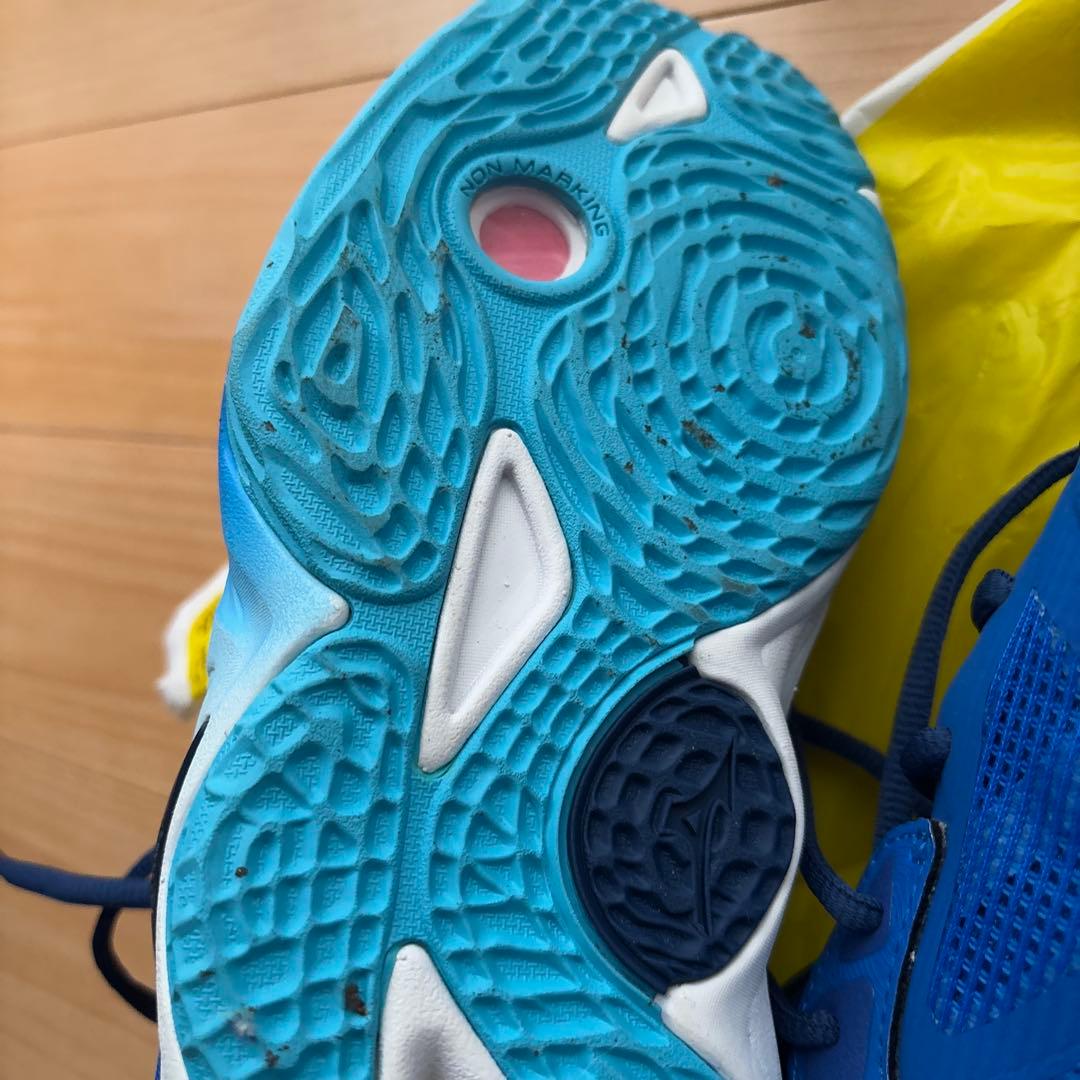 本日鳩ぽっぽさん専用