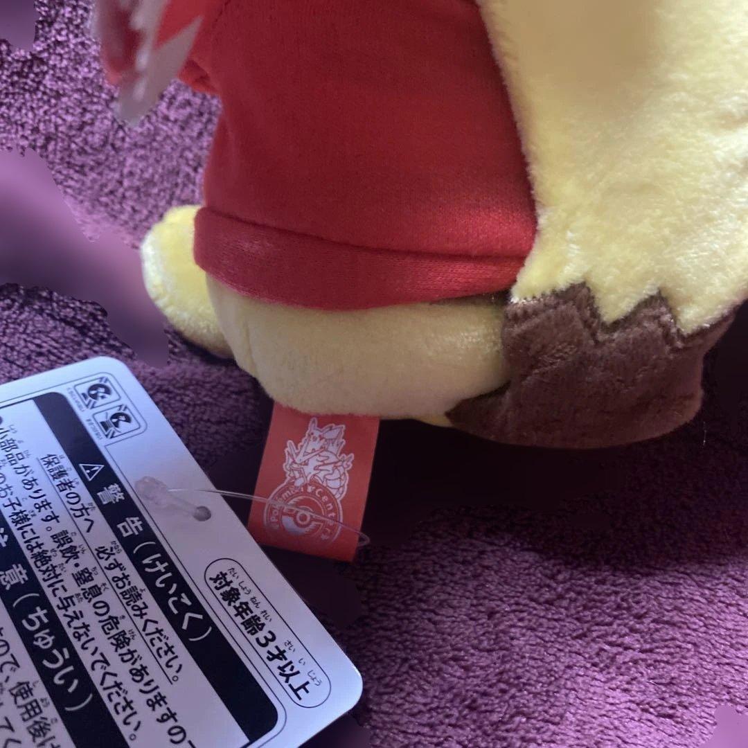 ポケモンセンターヒロシマ ぬいぐるみ　2点セット　広島限定　新品未使用