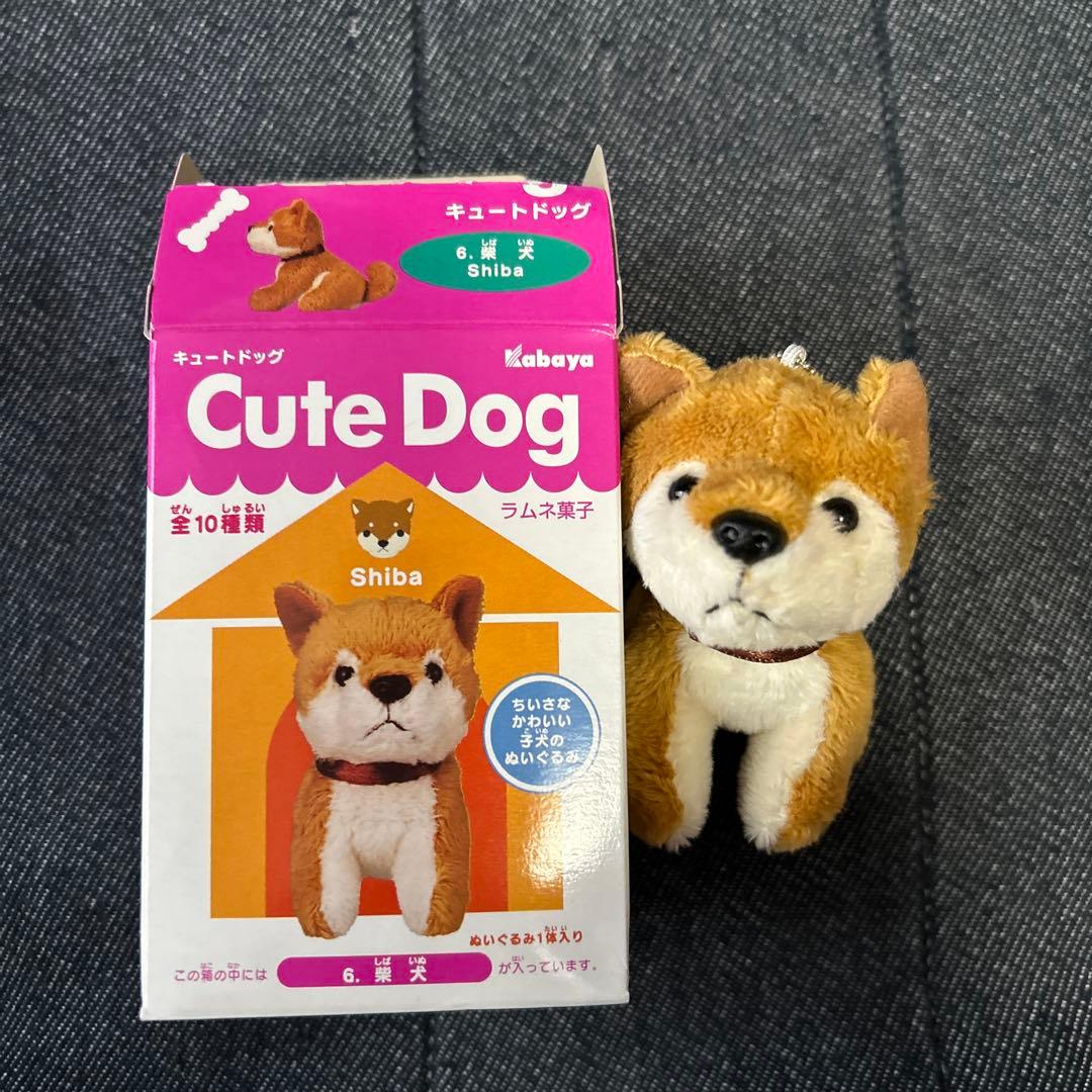 カバヤ 子犬ぬいぐるみ Cute Dog ボールチェーンマスコット 8点セット