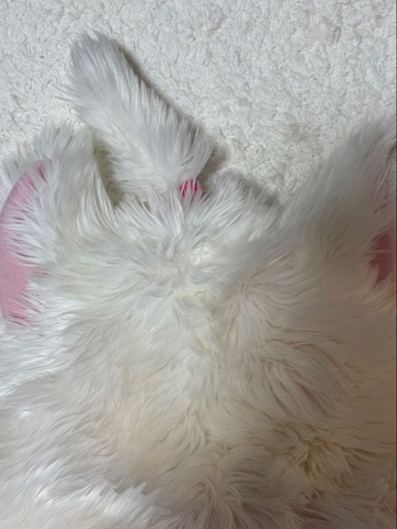 ディズニー　マリーちゃん　マフラーキャップ　リボンなし