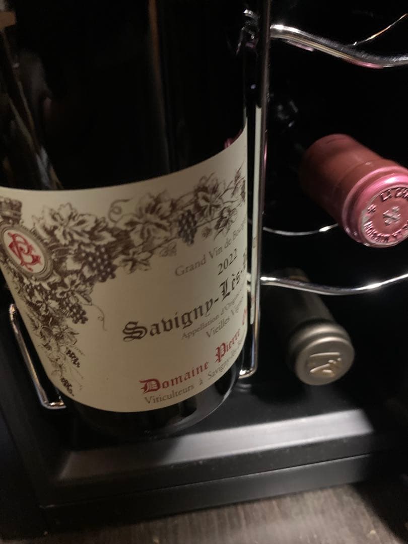 サヴィニ　レ　ボーヌ 2022 ドメーヌ　ピエール　ギヨーム