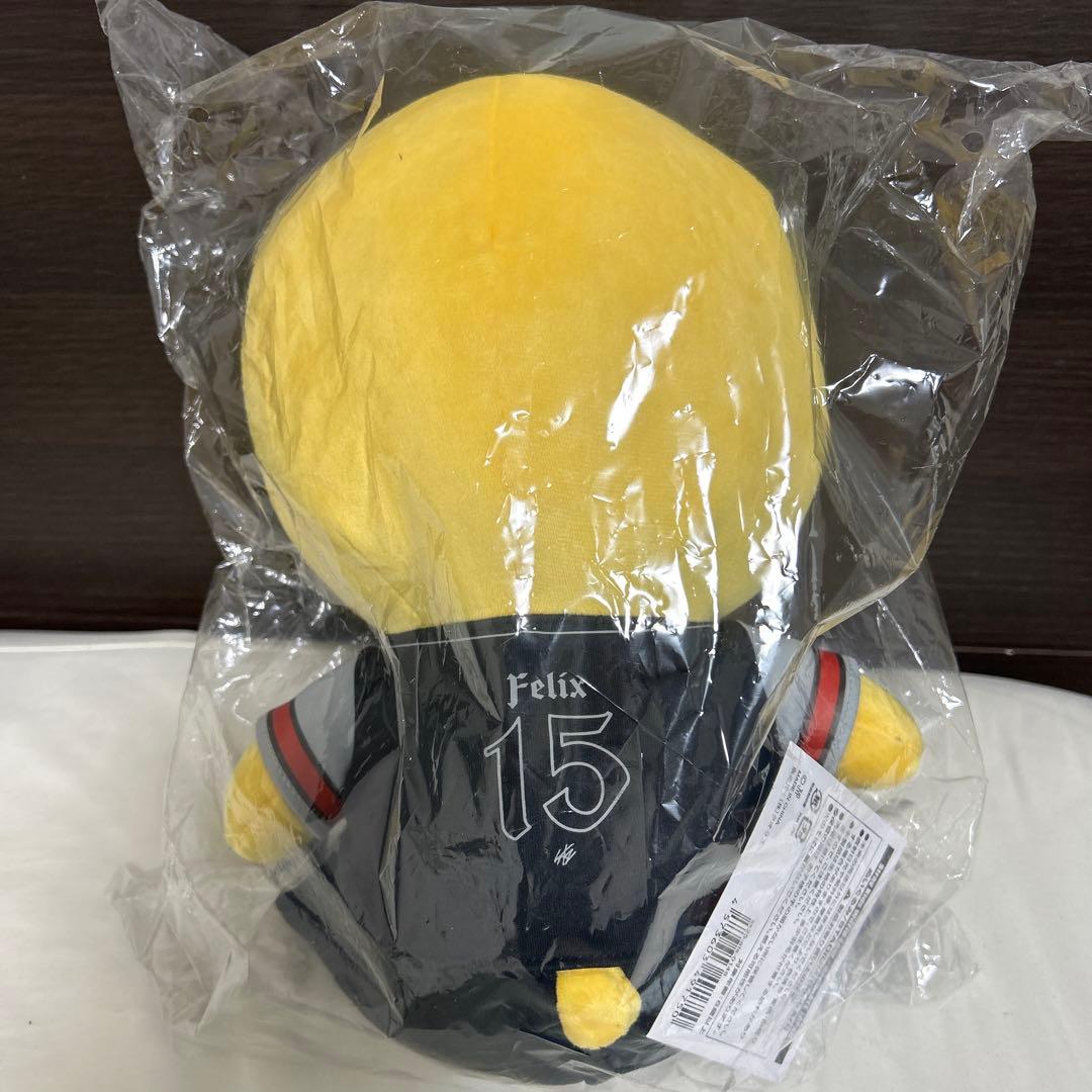 Stray Kids ぬいぐるみ STADIUM BbokAri ポガリ　エコパ