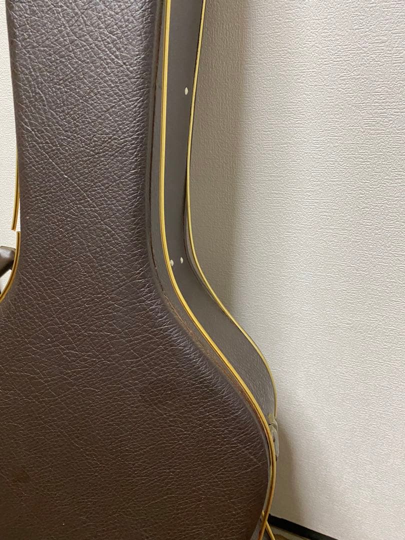 ThreeS Troubadour アコースティックギター 専用ケース付き