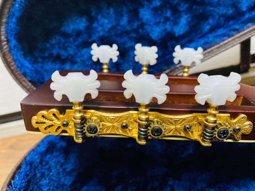 ThreeS Troubadour アコースティックギター 専用ケース付き