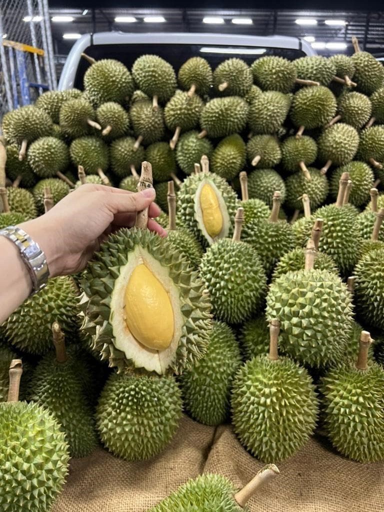 年明特売+即日発送（タイ産ドリアン　泰国榴莲　5玉セット）送料無料+数量限定