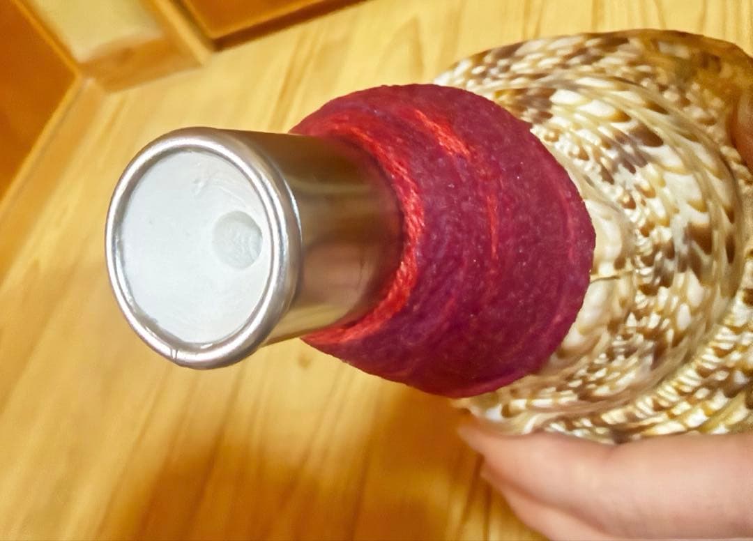 法螺貝　ほら貝　ホラガイ❣️