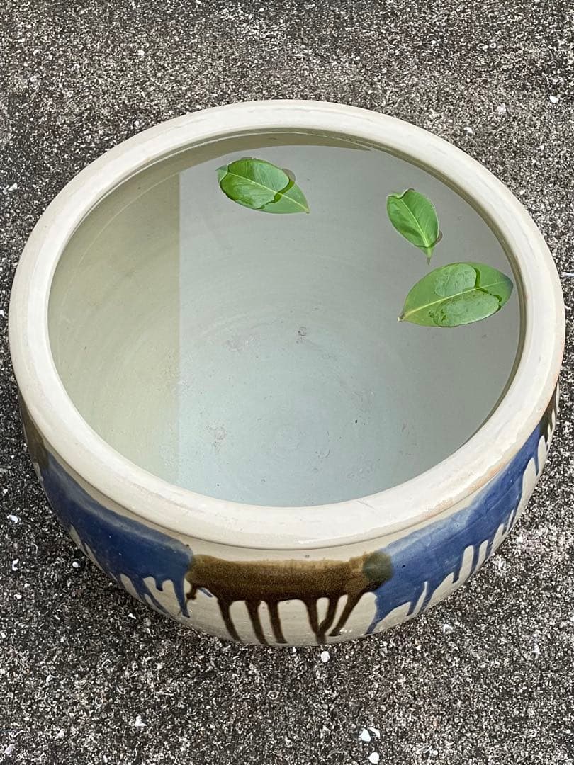 昭和レトロ　大鉢　メダカ鉢　睡蓮鉢　金魚鉢　口径35㎝