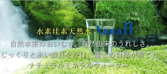 ホワイトバナエイチVanaH　500ml×24本入り×２セット【送料無料】
