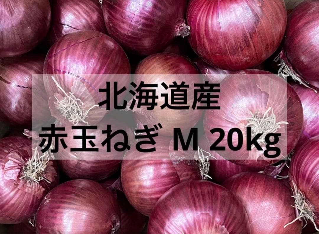 ✧農家直送✧北海道産 赤玉ねぎ M 20kg