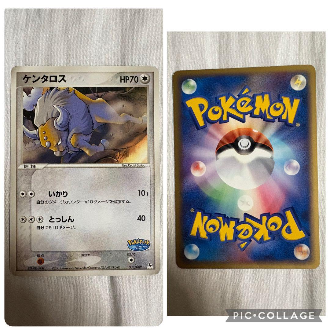 ポケパーク　ブルーシート　ポケカ