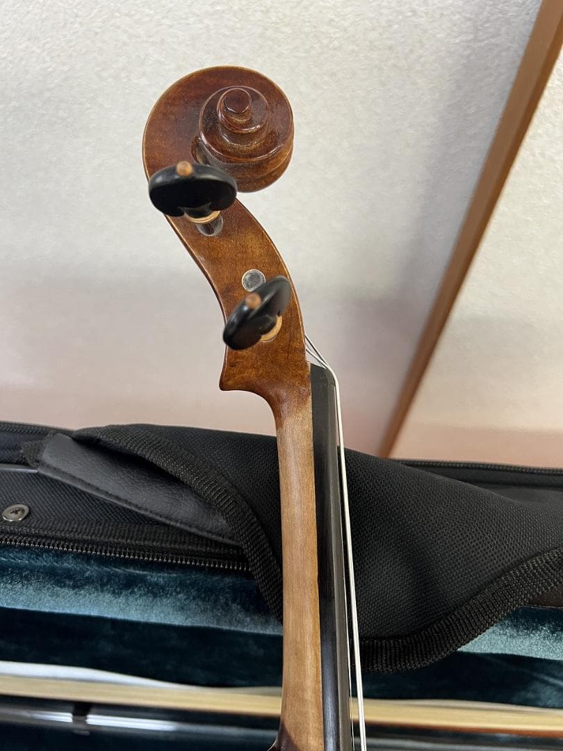 弦楽器 Alexandru Ozon Bucuresti Romania 2017