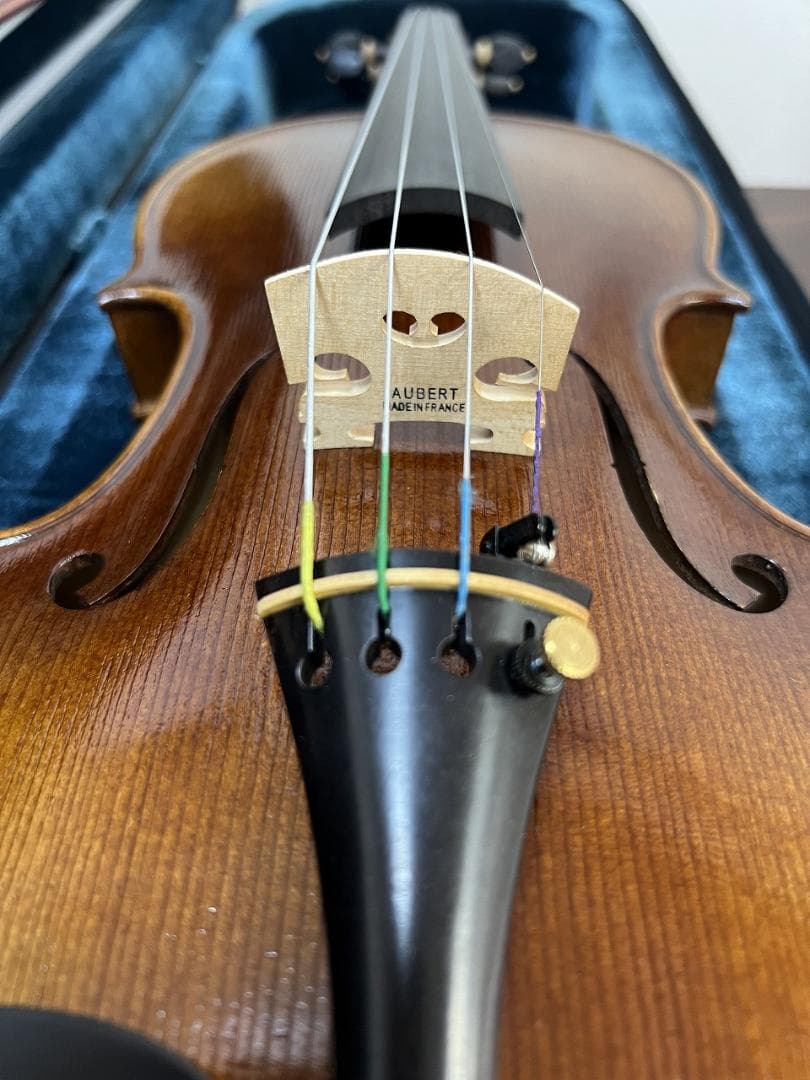 弦楽器 Alexandru Ozon Bucuresti Romania 2017