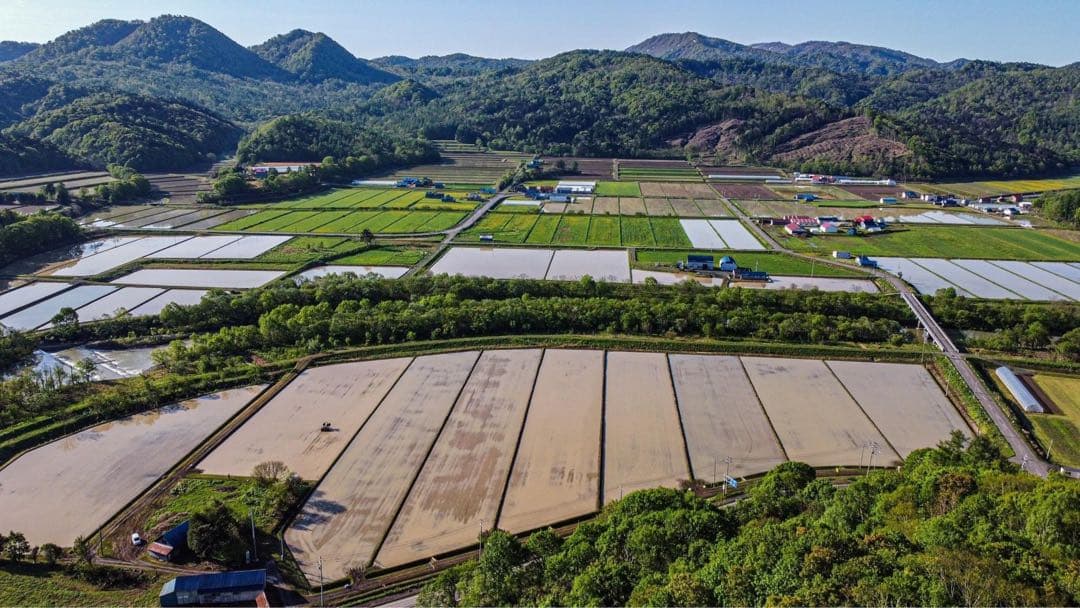 【記念セール】ななつぼし＊北海道産＊農家直送＊送料込み＊美味しいお米＊5キロ×2