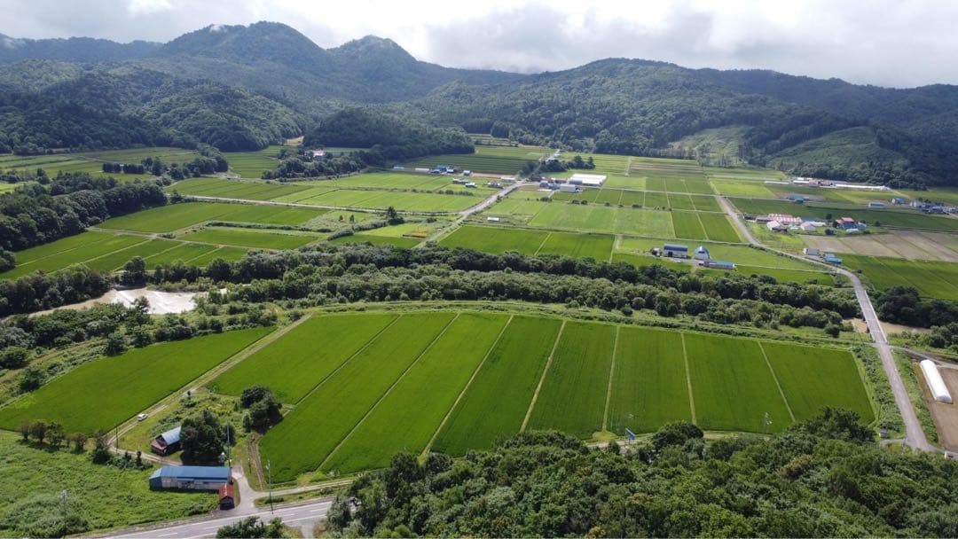 【記念セール】ななつぼし＊北海道産＊農家直送＊送料込み＊美味しいお米＊5キロ×2