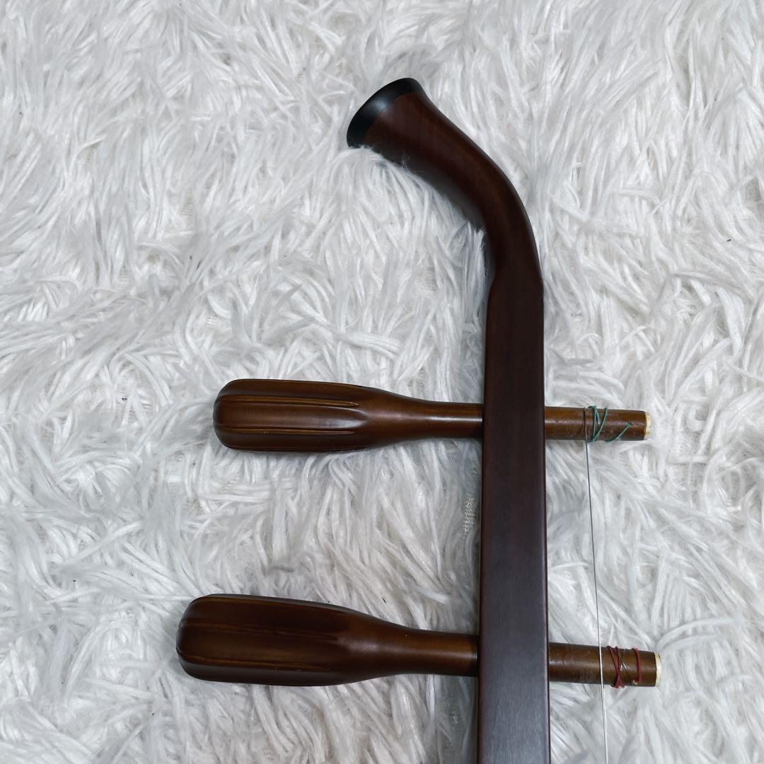 極美品　電気　ニ胡　エレキ　セミハードケース付き