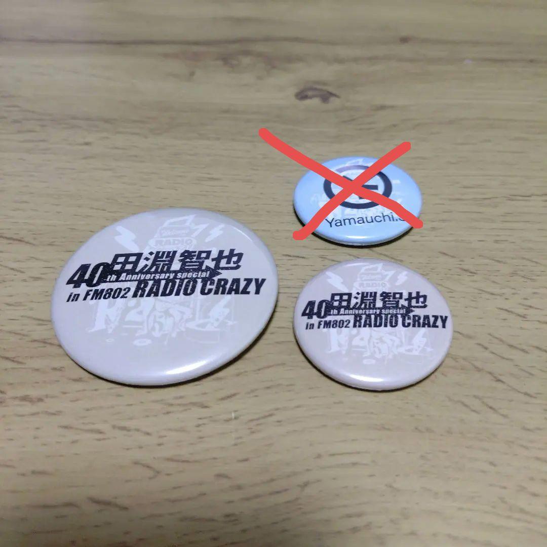 レディクレ 缶バッジ 田淵智也 大 小