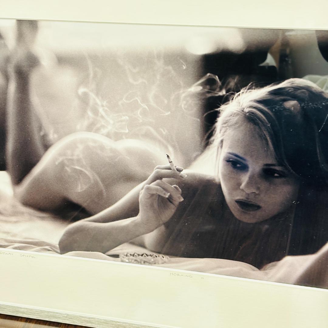 YellowKorner スピヴァク モーニング＆モーニングⅡ フォトアート