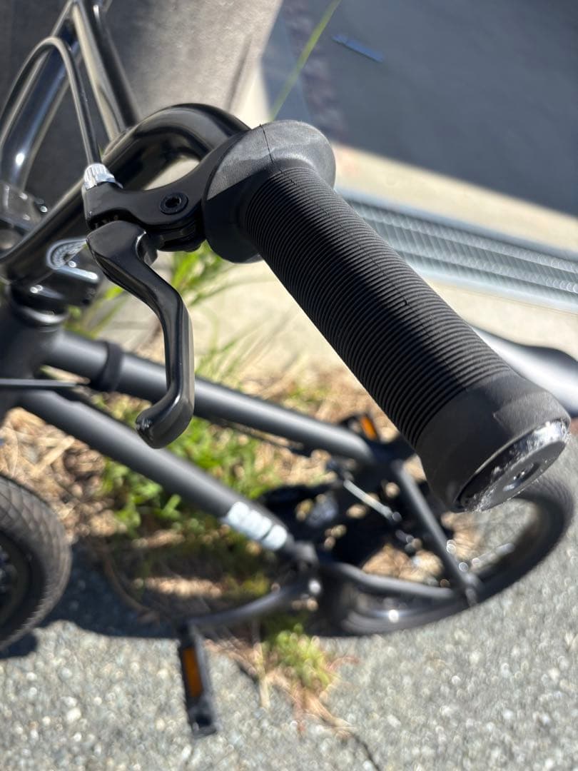 SOLO BMXダーカスワン　16インチ