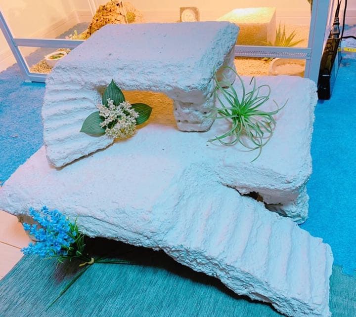 爬虫類シェルター バックボード レイアウト用品作成