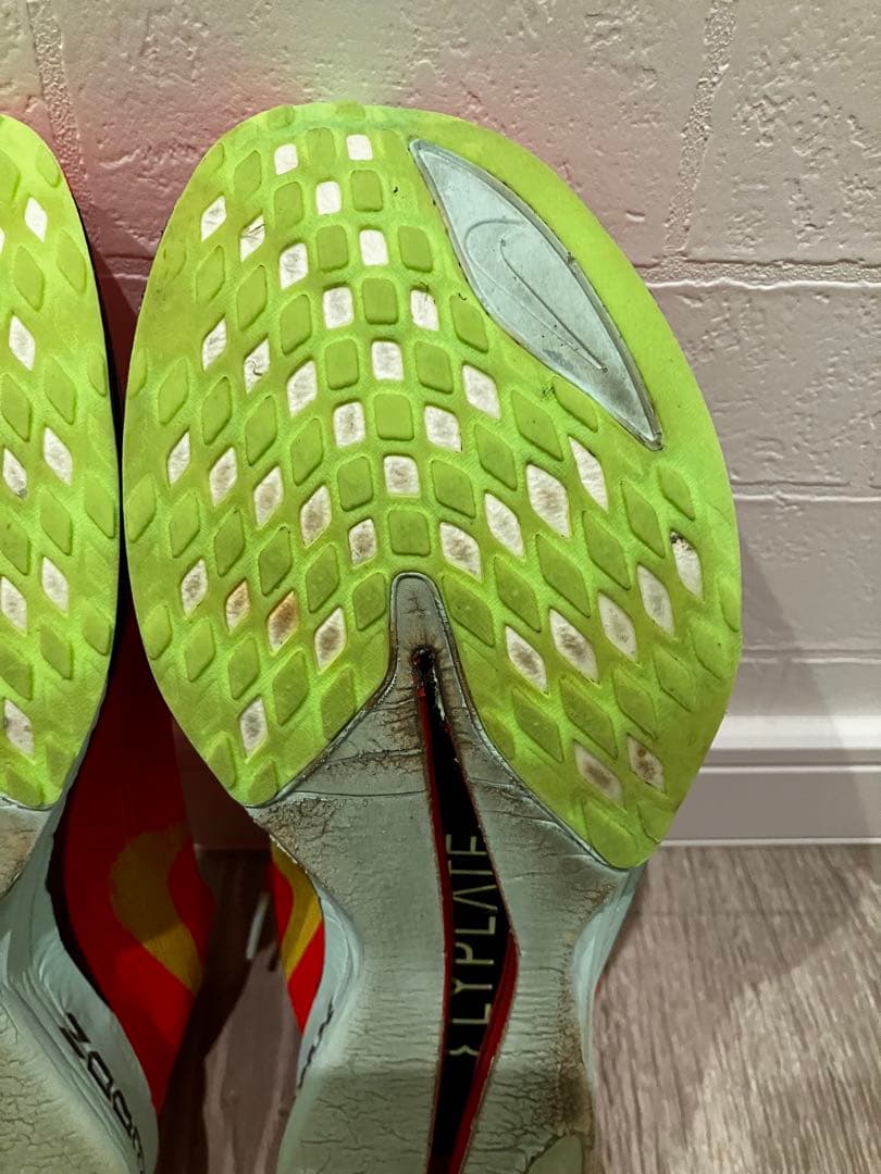 Nike ストリークフライ2 メンズ25.5cm