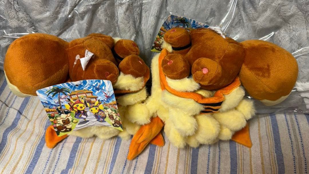 ウインディポンチョのイーブイ　ぬいぐるみ　セット