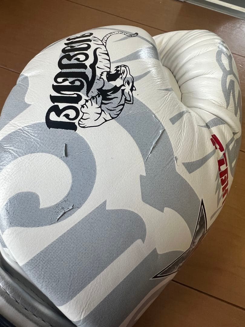 YOKKAO FIGHT TEAM ボクシンググローブ10oz