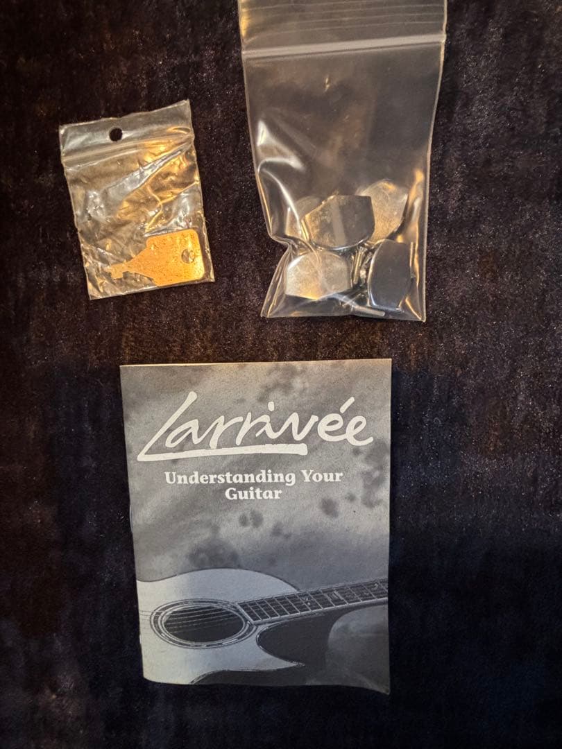 Jean Larrivée アコースティックギター　ビンテージ