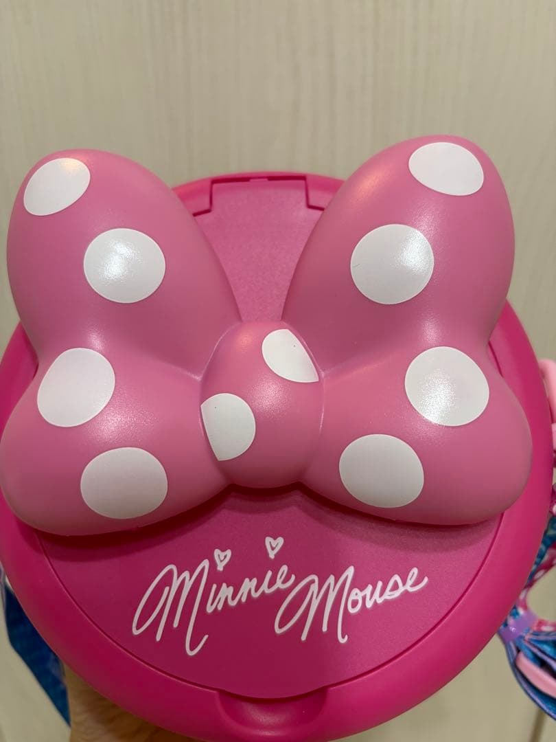 【新品】ミニーファンダーランド　パルパルーザ　ポップコーンバケット