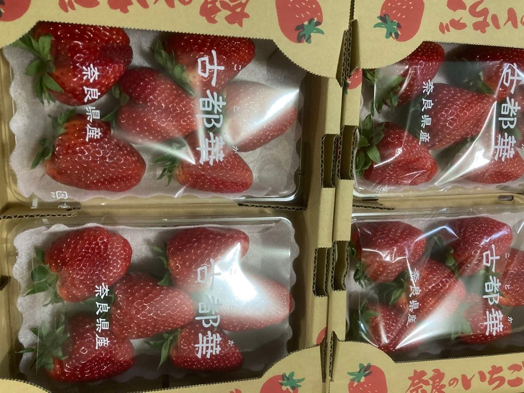 奈良県特産　古都華いちご　10パック