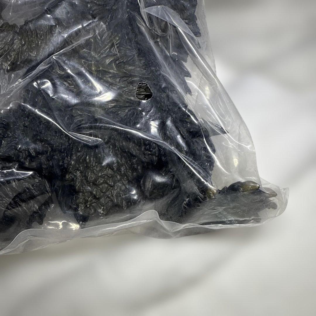 アートスピリッツ　トラウマガメラ　激造シリーズ　ガメラ