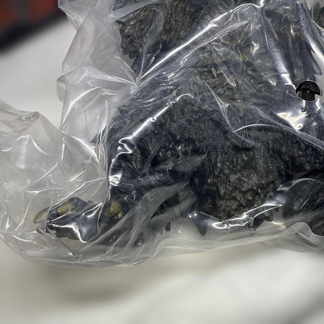 アートスピリッツ　トラウマガメラ　激造シリーズ　ガメラ