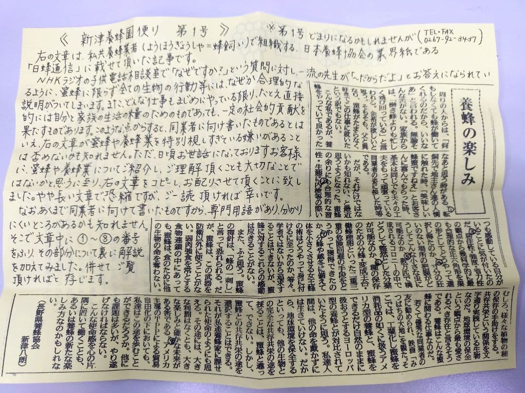 新津養蜂園 八ヶ岳高原線はちみつ ３本セット アカシア さくら クローバー