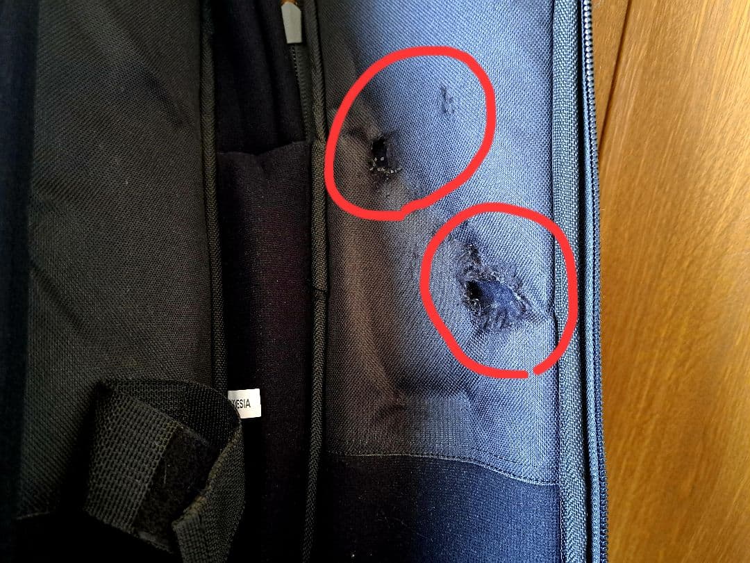 【貴重/生産終了】Washburn PXS10FRDLXWB-D