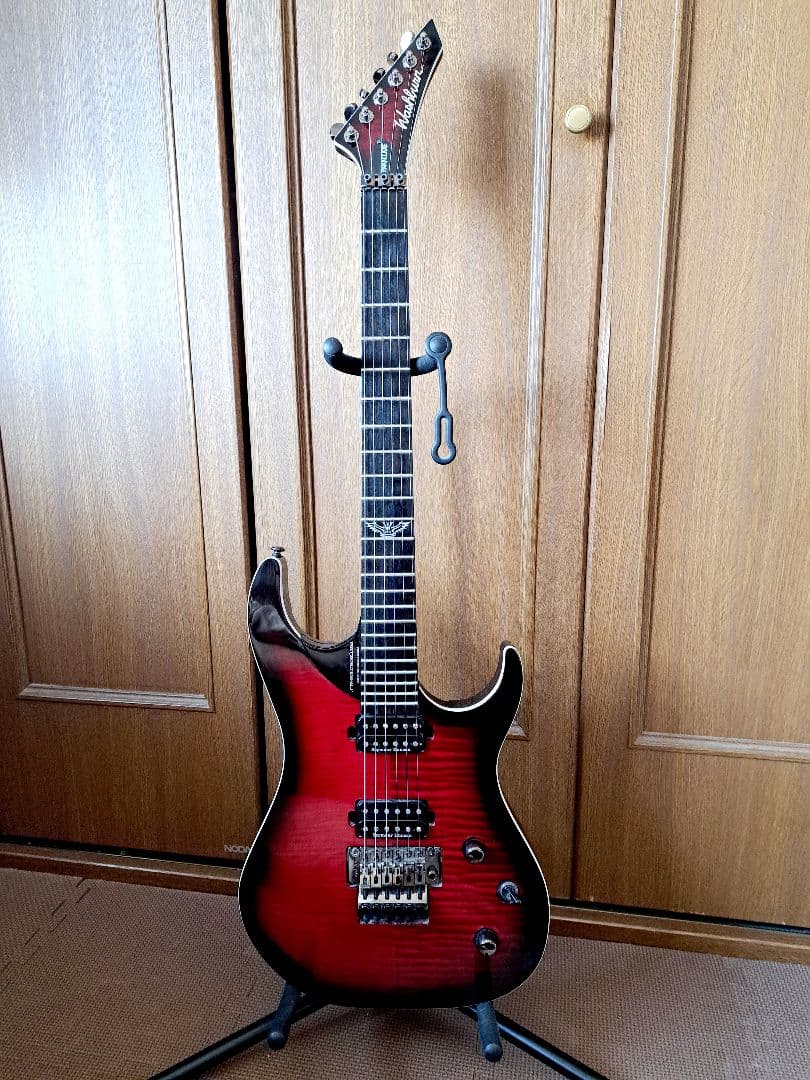 【貴重/生産終了】Washburn PXS10FRDLXWB-D