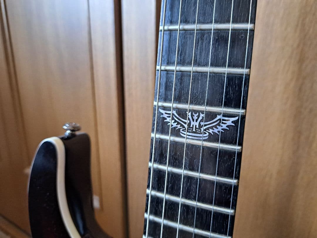 【貴重/生産終了】Washburn PXS10FRDLXWB-D