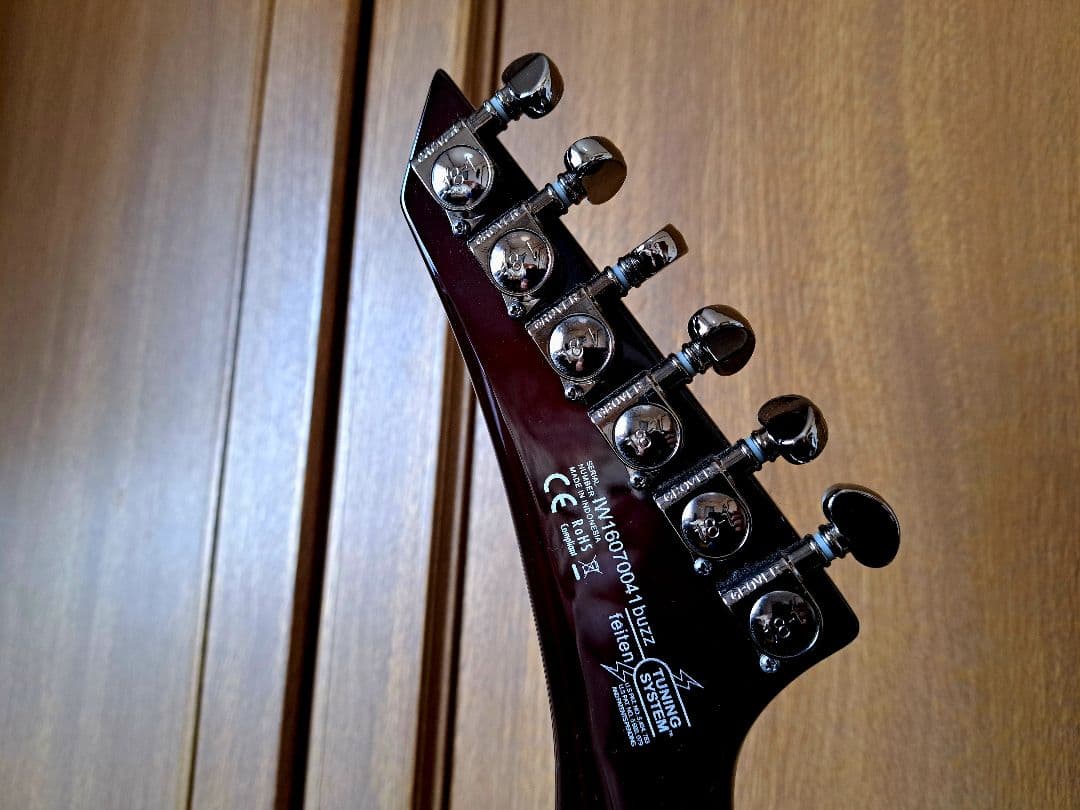 【貴重/生産終了】Washburn PXS10FRDLXWB-D