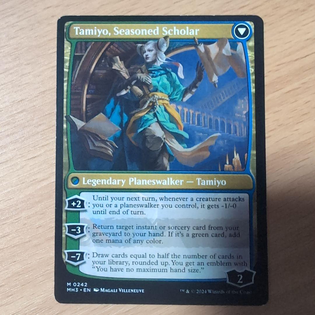 知りたがりの、タミヨウ　英語版　２枚セット