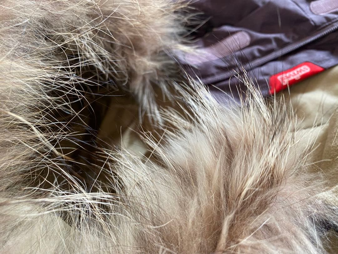 【美品】 Ladies レディース スキーウェア（ジャケット＆パンツ）