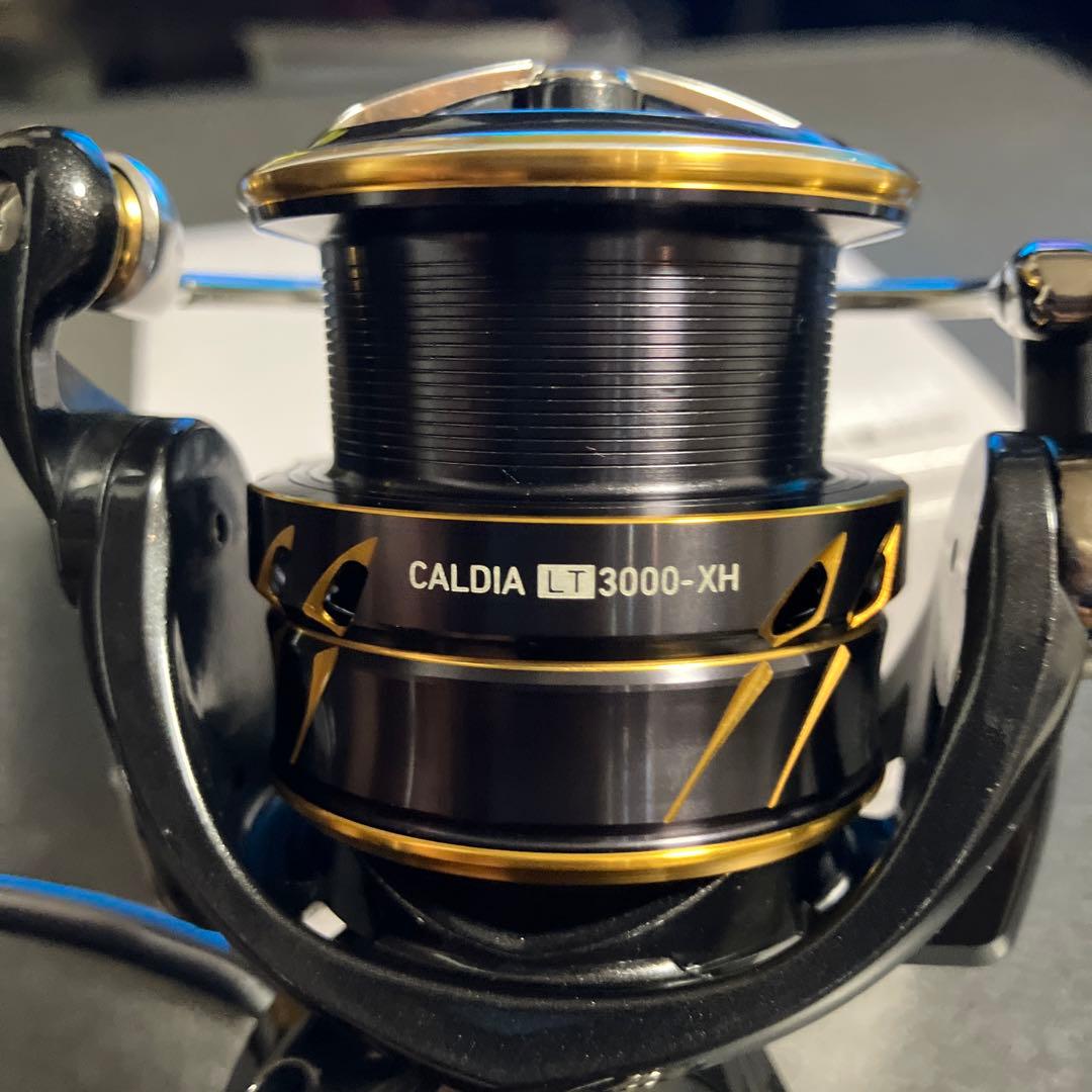 【フルベアリング化】 DAIWA 21CALDIA LT 3000-XH