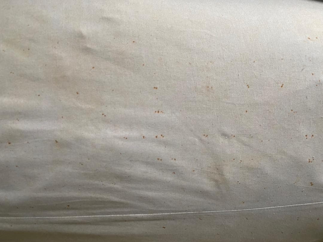 マレシャル テント リュベロン MARECHAL LUBERON ビンテージ