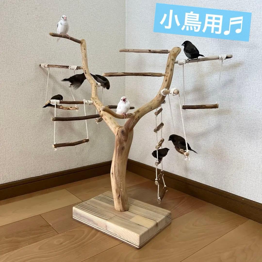 【小鳥用】わぃわぃ楽しい♬ブランコ&ハシゴ付 バードアスレチック