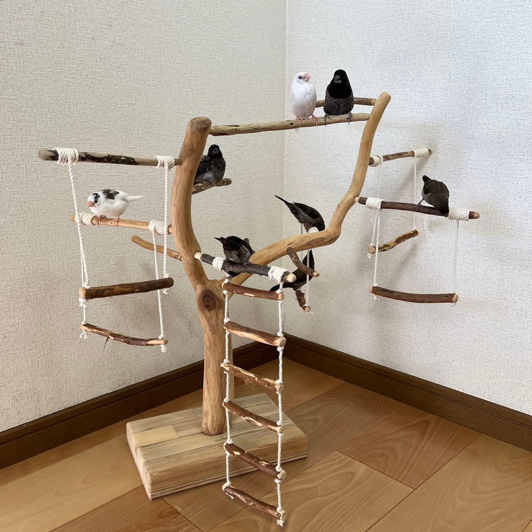 【小鳥用】わぃわぃ楽しい♬ブランコ&ハシゴ付 バードアスレチック