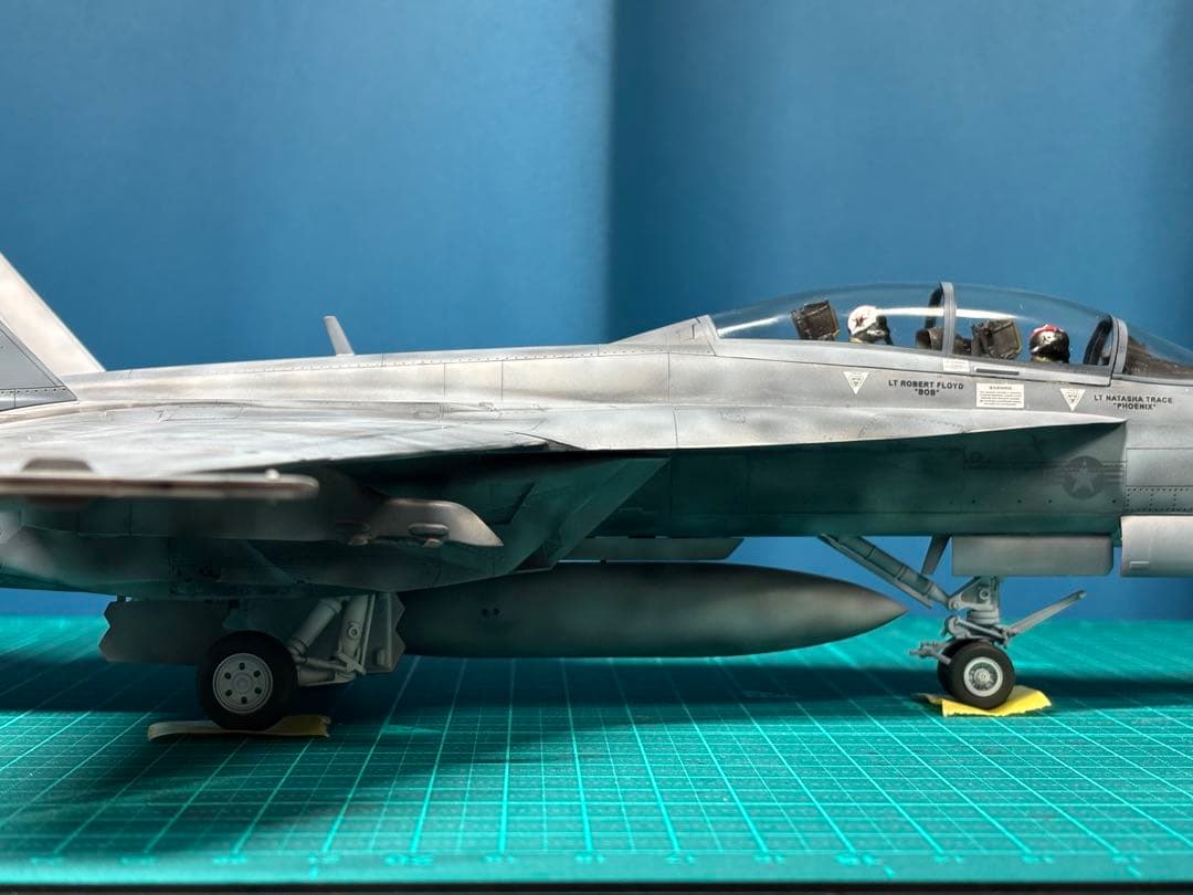 戦闘機　プラモデル　完成品　ハセガワ　1/48 F/A-18F