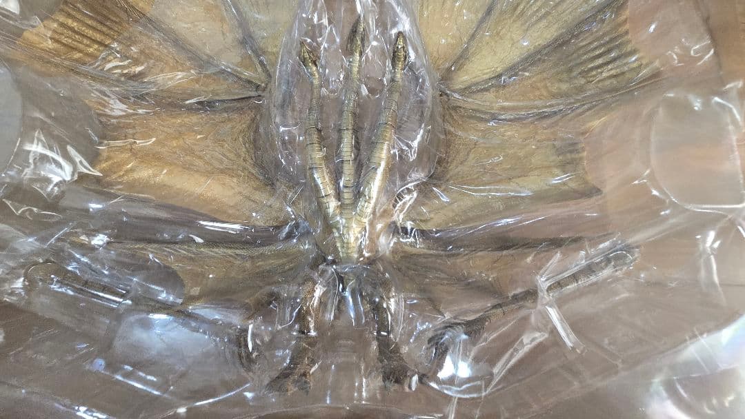 キングギドラ ハイヤトイズ