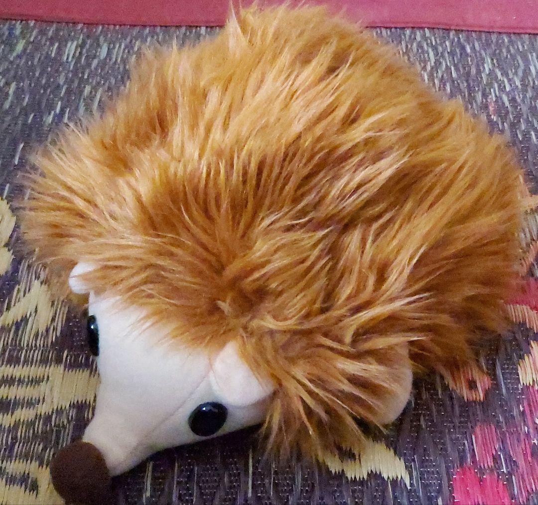 犬用 服、帽子、本 セット