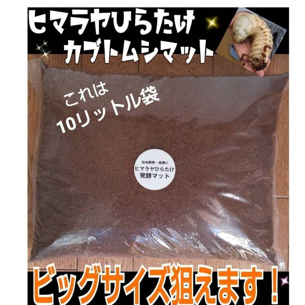 カブトムシ幼虫の餌、産卵に抜群！改良しました！発酵マット【たっぷり60リットル】